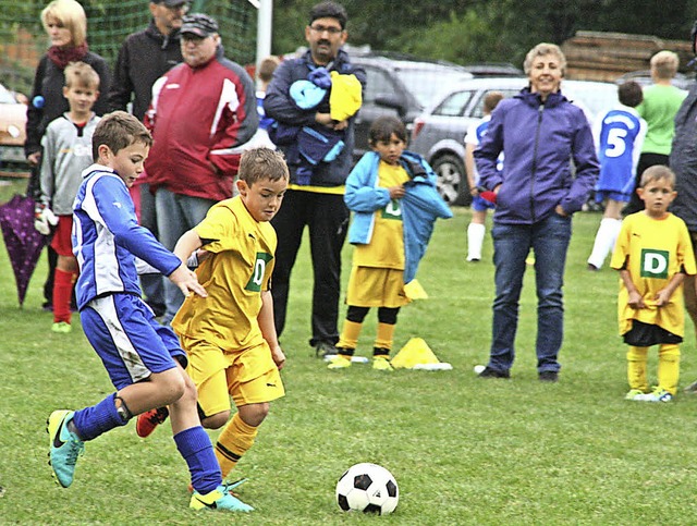 Am Familiensporttag kamen die Nachwuch...l gegen den FC Herrischried (in gelb).  | Foto: Peter Schtz