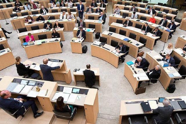 Landtag: AfD zögert Zusammenschluss weiter hinaus