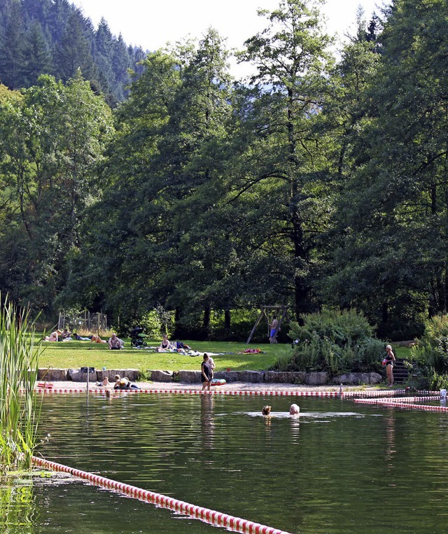 Kaum  Probleme  mit  Zerkarien und  da...Jahr  im Sulzburger  Naturschwimmbad.   | Foto: Ingeborg Grziwa