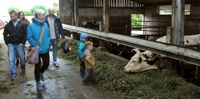 Ob man die Kuh streicheln kann? Selbst...etriebs der Familien Haas und Zinsel.   | Foto: Wolfgang Knstle