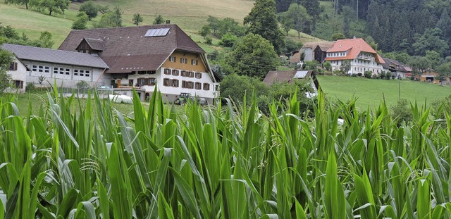 Von Landwirtschaft geprgt: das Kohlenbachtal.   | Foto: Sredniawa