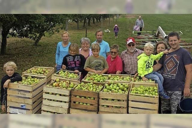 Apfelsaft aus Streuobst