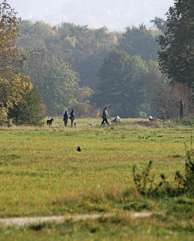 Das Mattfeld ist Wasserschutzgebiet.   | Foto: Frey