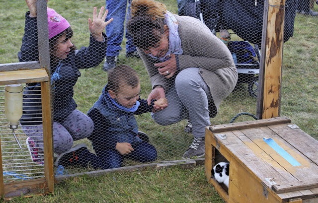 Kinder haben ihre Freude an den vorgestellten Tieren.  | Foto: Anja Bertsch