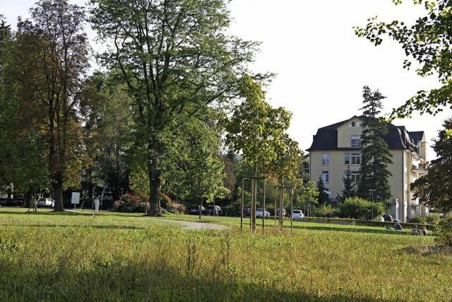 Gastronomin will im Stadtpark Ost Snack, Eis und Getrnke verkaufen