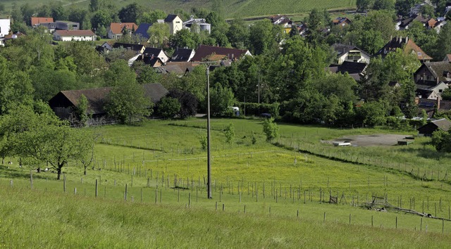 Ob aus den Kpppelematten ein Baugebiet wird, ist in Sulzburg sehr umstritten.   | Foto: Martin Pfefferle