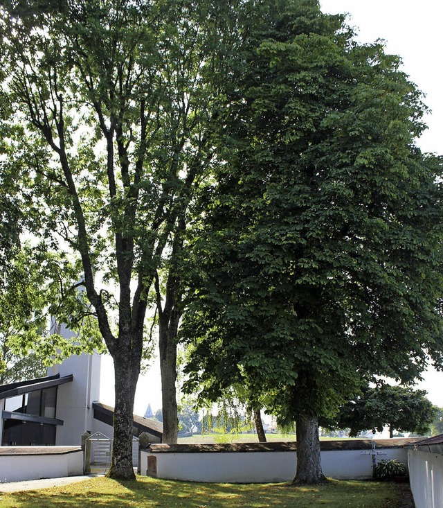 Dem Wandel in der Bestattungskultur m...e halbrunde Anordnung der Urnengrber.  | Foto: Christa Maier