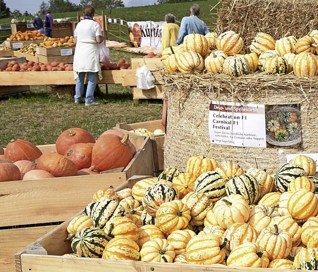 Die Krbisausstellung ist der groe Pu...et des Herbstmarktesin Hchenschwand.   | Foto: Stefan Pichler