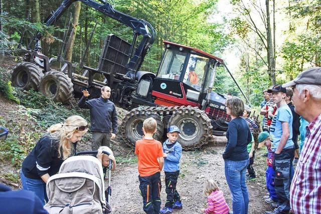 Besucher staunen im Wald als groen Arbeitsplatz