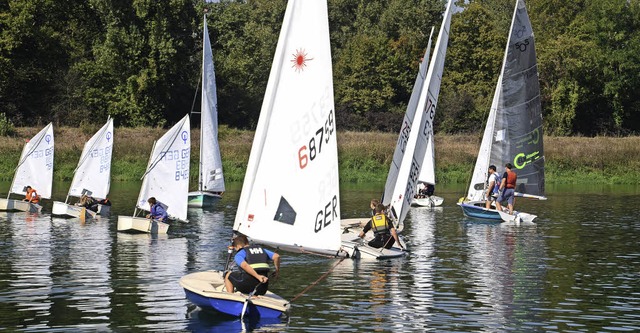 Sasbach. Regattageschehen auf dem Rhein.  | Foto: Roland Vitt