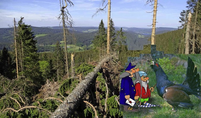 Anton Auerhahn und seine Freunde an de...1. Oktober  200 Ahornbume gepflanzt.   | Foto: Fotomontage: G. Mller und Naturschutzzentrum Schwarzwald