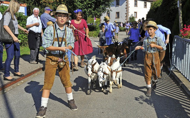 Almabtrieb: Die Hirtenbuben trieben die Zicklein talwrts zur Festwiese.  | Foto: Horst Dauenhauer