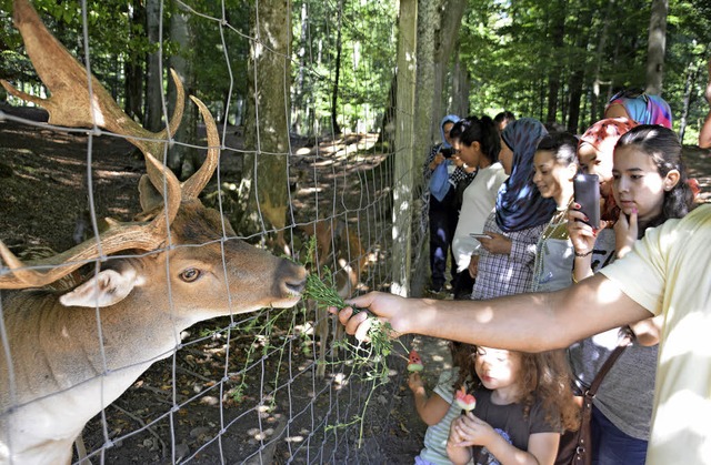 Die Flchtlinge aus der Gemeinschaftsu...durften die Tiere im Wildgehe fttern.  | Foto: Danielle Hirschberger