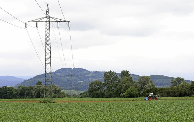 Hier soll einmal der neue Stadtteil Dietenbach entstehen.   | Foto: Ingo Schneider