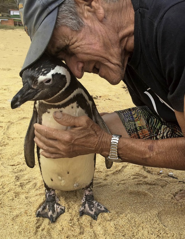 Joo  Cachaa sagt, er liebe den Pinguin wie seine drei Kinder.   | Foto: dpa