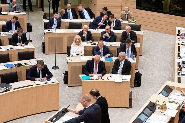 AfD strapaziert erneut die Landtagsregeln
