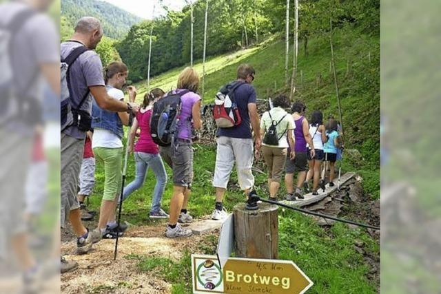 Wandern auf dem Brotweg