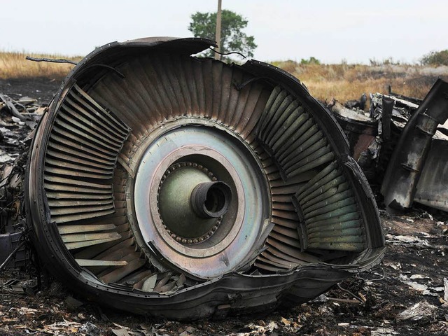 Trmmer des Flugzeuges, das ber der Ukraine abgeschossen wurde  | Foto: AFP