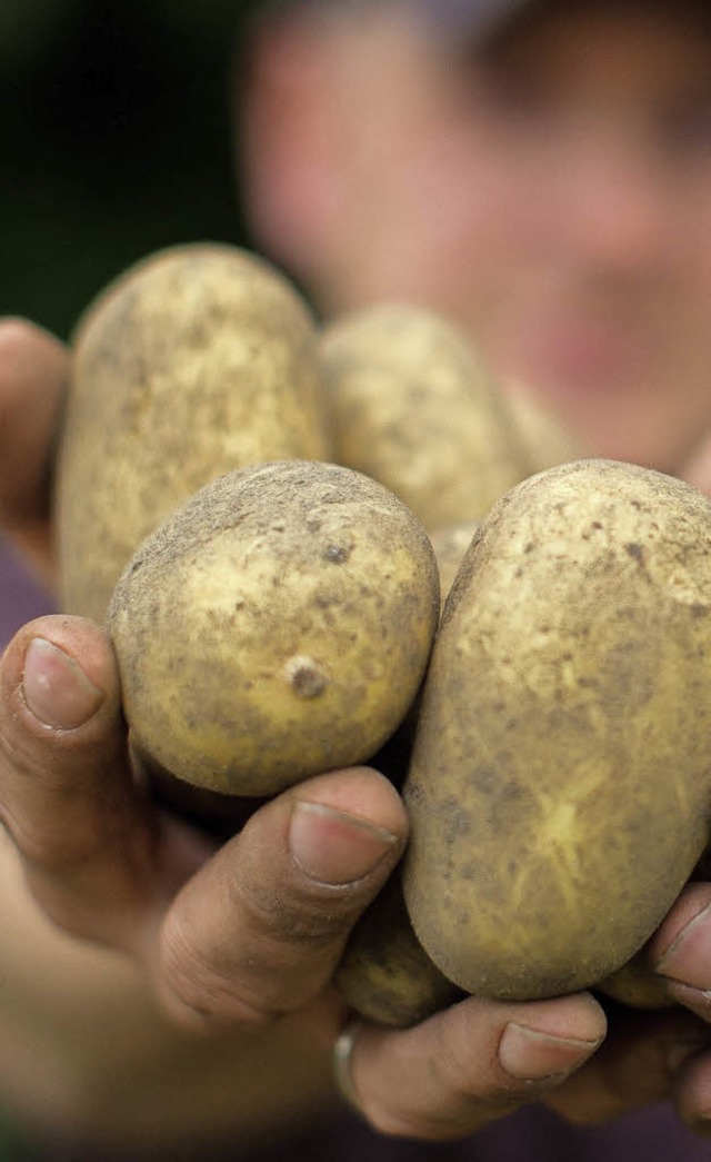Beim Kartoffelmarkt dreht sich alles um die Knolle.  | Foto: dpa