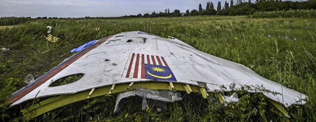 Ein Wrackteil der abgeschossenen Boeing liegt 2014 in einem Feld.   | Foto: AFP