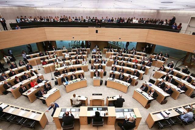 Mehrheit bgelt AfD-Antrag im Landtag ab