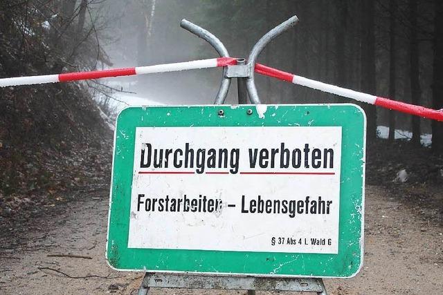 Lebensgefahr für Wanderer und Mountainbiker am Schausinsland wegen Waldarbeiten