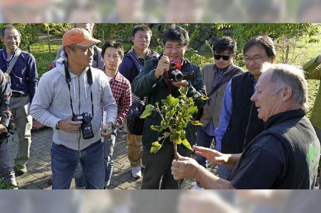 Japanische Delegation informiert sich in Wagenstadter Baumschule ber kolandbau