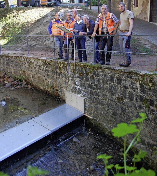 Dieses Blech soll verhindern, dass der...egierungsprsidiums das Pilotprojekt.   | Foto: Frey