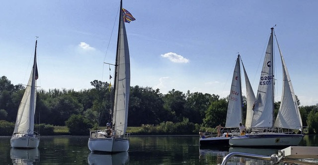 Ein schner Anblick: Regattaboote auf dem Rhein   | Foto: privat