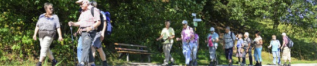 <BZ-FotoAnlauf>Snger auf Tour:</BZ-Fo...erbstlandschaft rund um Hinterzarten.   | Foto: Privat