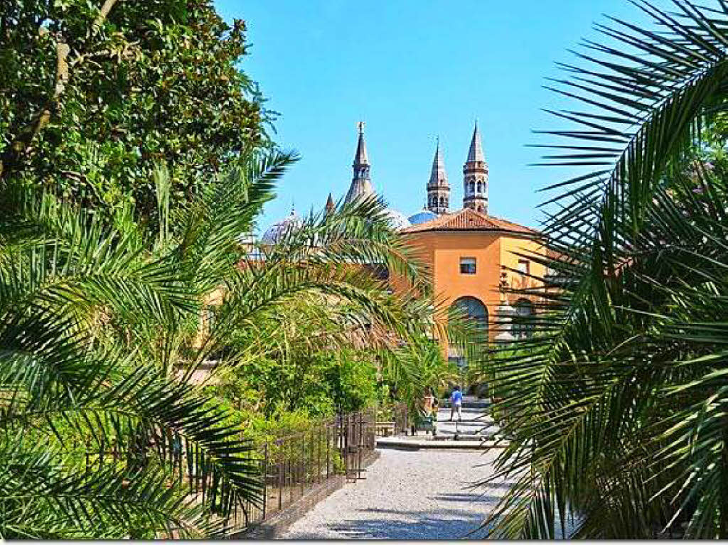 Unesco Weltkulturerbe: Der Botanische Garten Orto Botanico in Padua wurde fotografiert von Armin Burger aus Freiburg.