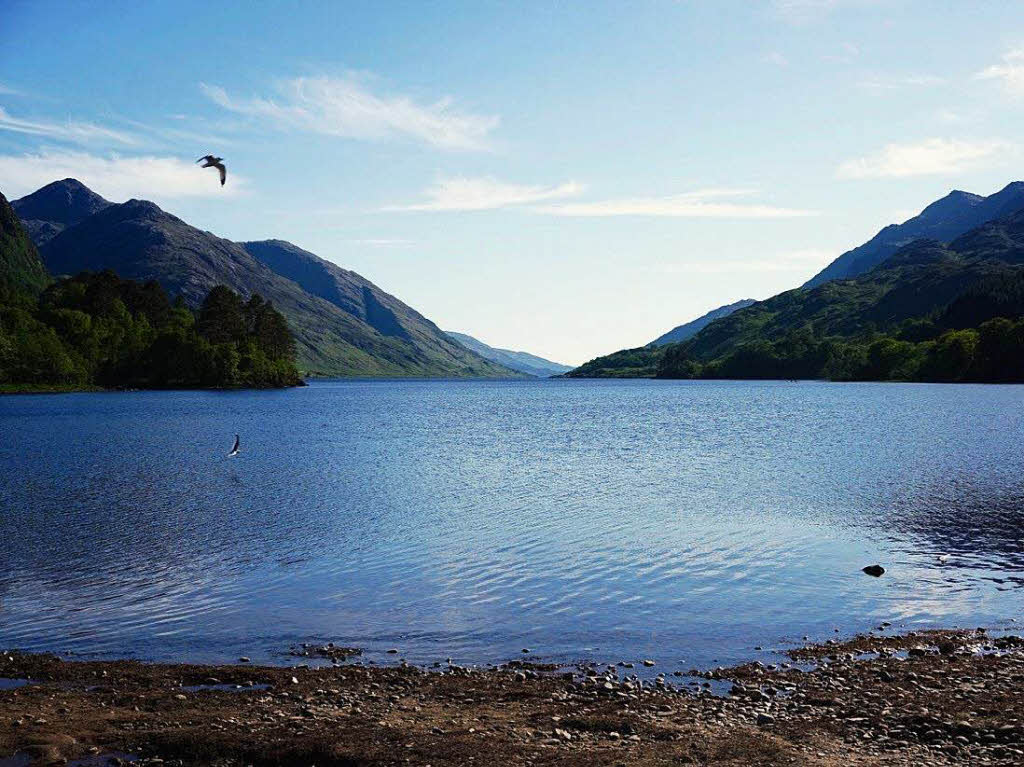 „Schottland ist immer eine Reise wert“, schreibt Ursula Lmmlein. Das Bild zeigt Loch Shiel, der in der Nhe von Glenfinnan liegt.