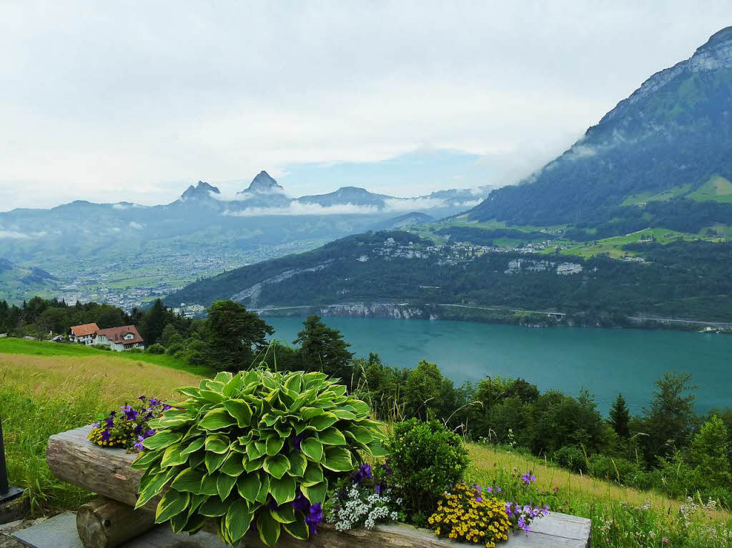 Vierwaldstttersee bei Tag: Dorothea Kusche aus Breisach fotografierte den Schweizer See vom Seelisberg aus.