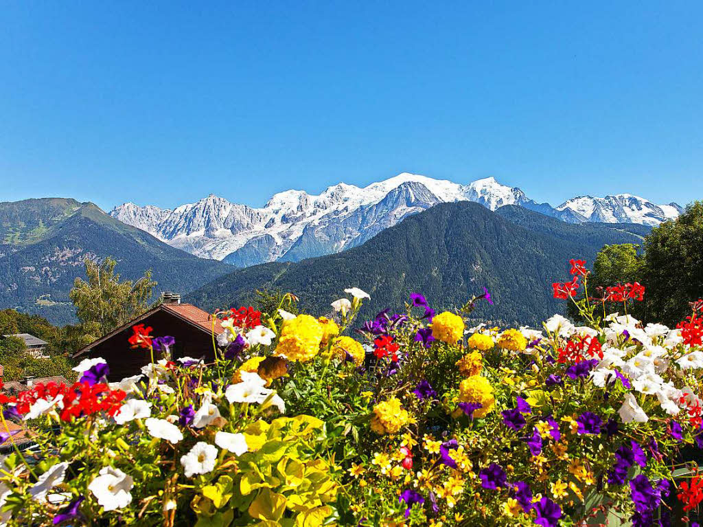 Blumen und Berge: Gerard Haasdonk aus Kunheim war in den franzsischen Alpen. Dieses Foto schoss er vom Ort Passy aus.