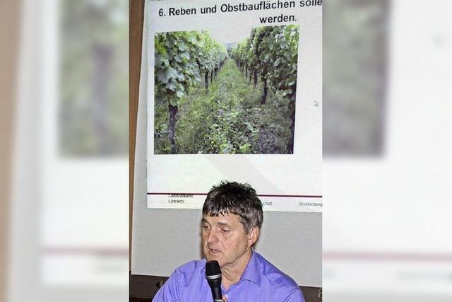 Grnpflanzen helfen gegen Erosion