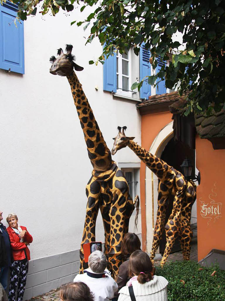 Phantastische Fabelwesen mischten sich bei "Fabelhaftes Staufen" unter die Zuschauer, die von nah und fern gekommen waren.