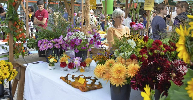 Die Farben des Herbstes leuchteten in Buggingen um die Wette.  | Foto: Sigrid Umiger