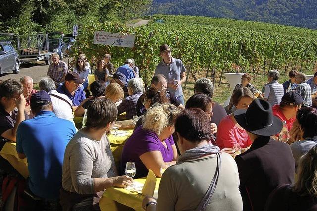 ber 200 Weinfreunde bei der 10. Buchholzer Weinwanderung