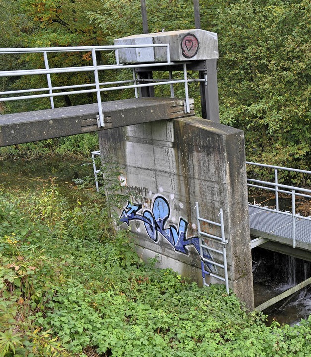 Beim Vergrern des Dietenbachbeckens ...en Auslassbauwerk modernisiert werden.  | Foto: steckmeister