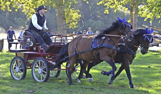 Auch sieben Ein- und Zweispnner wurde...r Reit- und Fahrsportvereins geprft.   | Foto: Cecile Buchholz