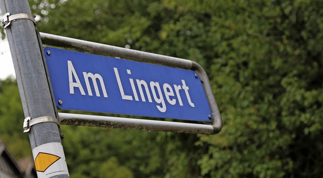 Fr den Lingertrain wurde die Vernder... muss ein neuer Bebauungsplan stehen.   | Foto: Katharina Bartsch
