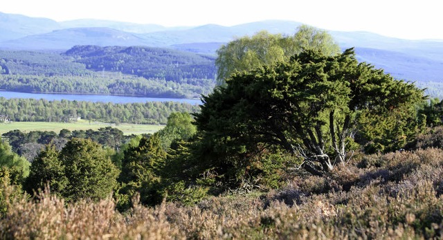Wo Wege sich im Geflecht der Natur verbergen: schottisches Highland-Panorama  | Foto: dpa