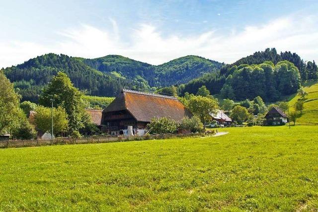 Ferien auf dem Bauernhof