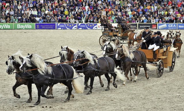 Sechs Schwarzwlder Pferdestrken hatt...;Leinenkunst&#8220; bestens im Griff.   | Foto: Wolfgang Scheu