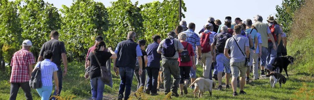 Leicht begehbar ist der Rebhisliweg vor den Toren Wagenstadts.  | Foto: Werner Schnabl