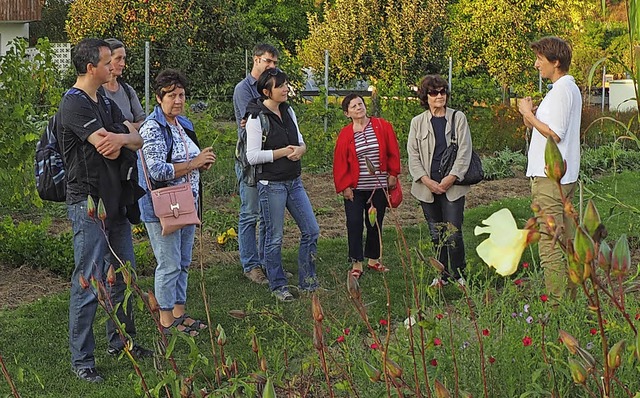 Die Gste aus Lahr  lernten in Eichste...ten von Okra und Kolbenhirse  kennen.   | Foto: Detlef Lingner