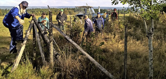 Freier Blick im Dolinenland: Egons Wan...eder ungehindert in die Tiefe blicken.  | Foto: Christa Maier