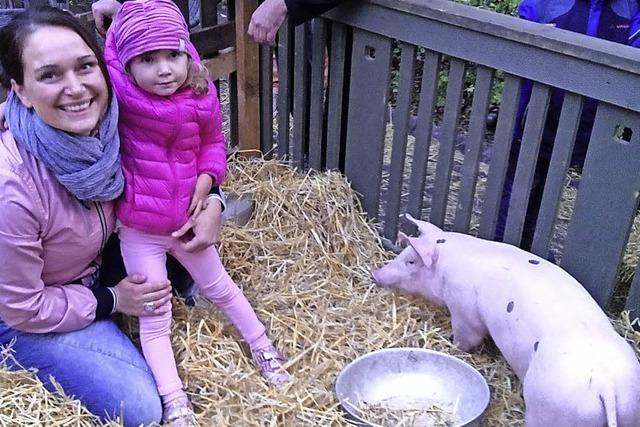 Leni holt sich das kleine Ferkel