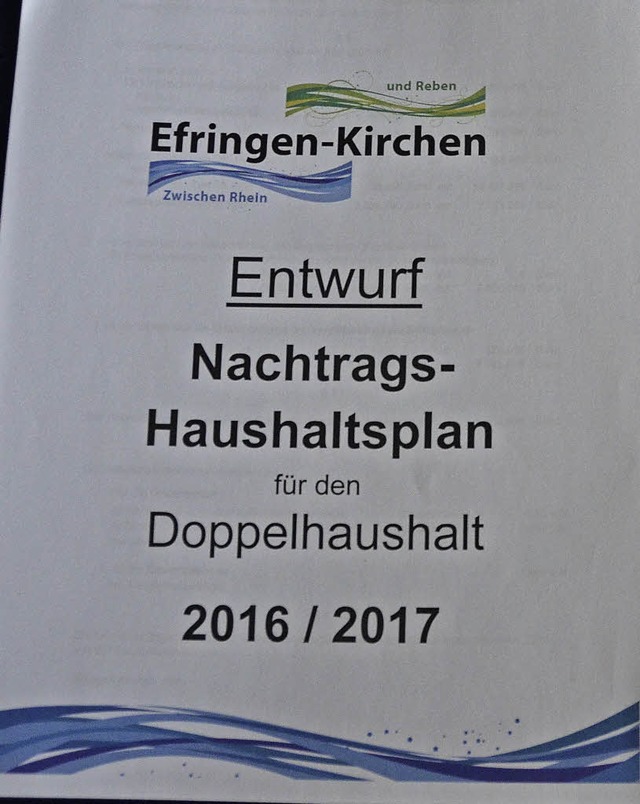 Der Verwaltungsausschuss hat in Efring...n  ber den Nachtragshaushalt beraten.  | Foto: Langelott