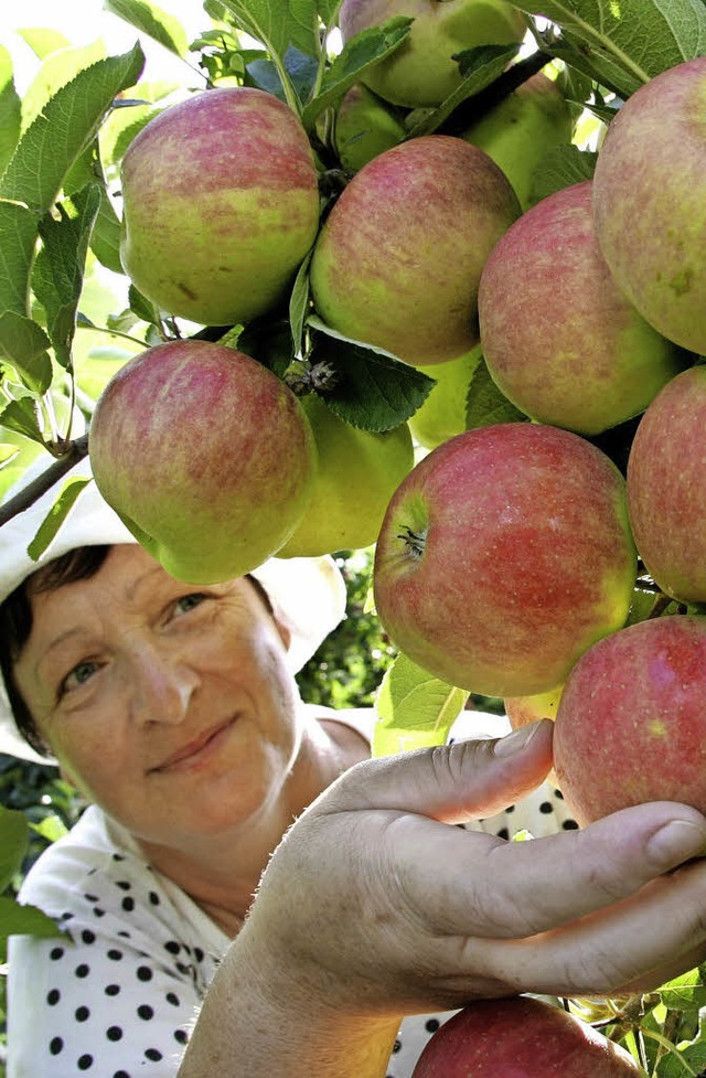 Der Apfel ist der Star am Sonntag in Laufenburg.  | Foto: dpa